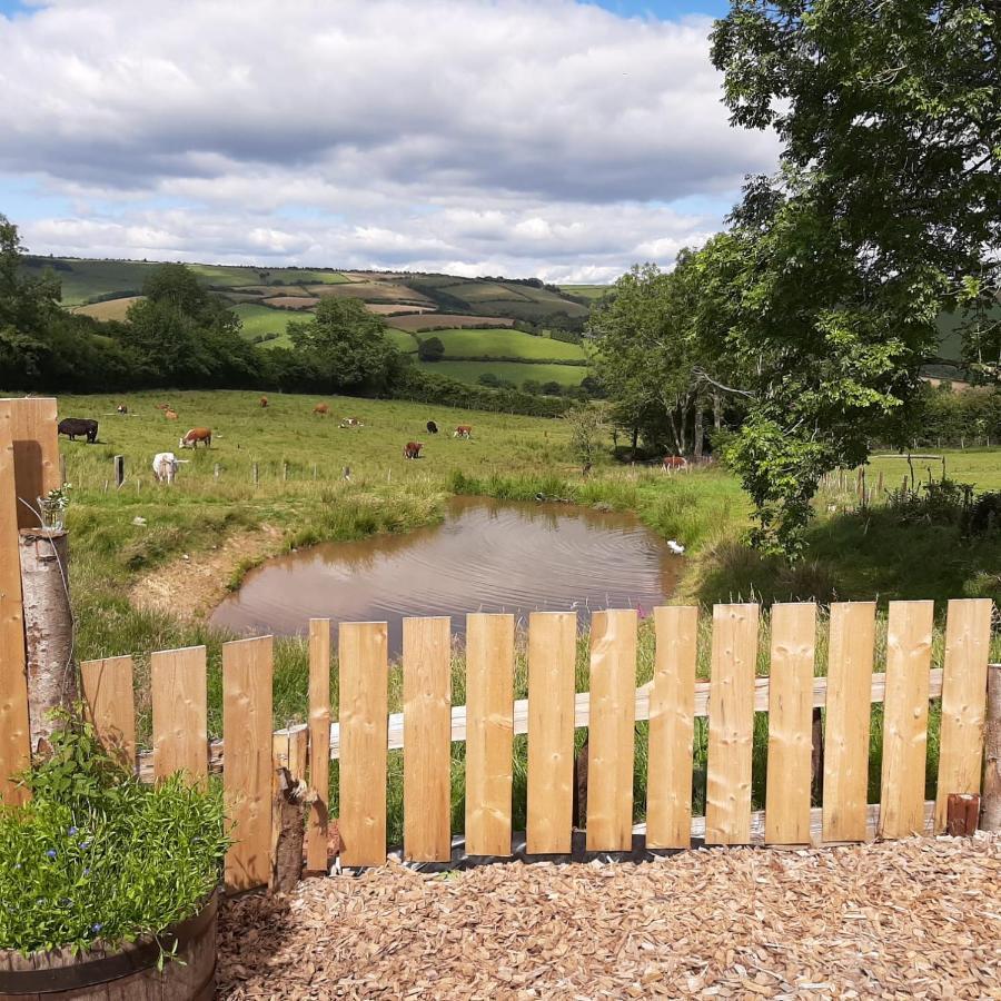 Foxglove Accommodation Craven Arms Exterior photo