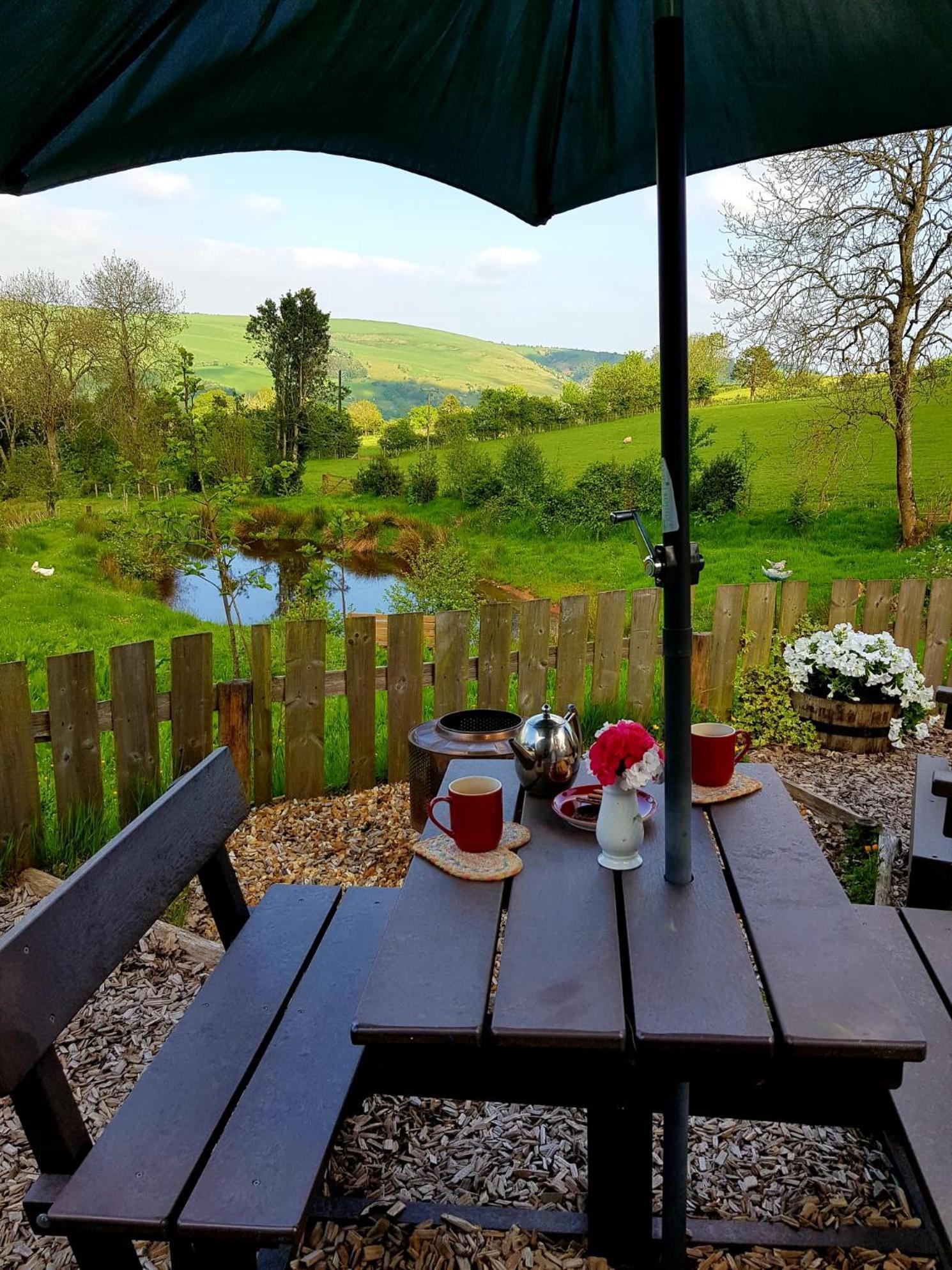Foxglove Accommodation Craven Arms Exterior photo